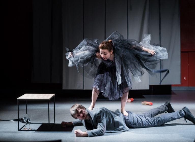 Изображение на новина: ГОСТУВА ТС "ХЕЛИОТРОП" - СЪЗВЕЗДИЯ